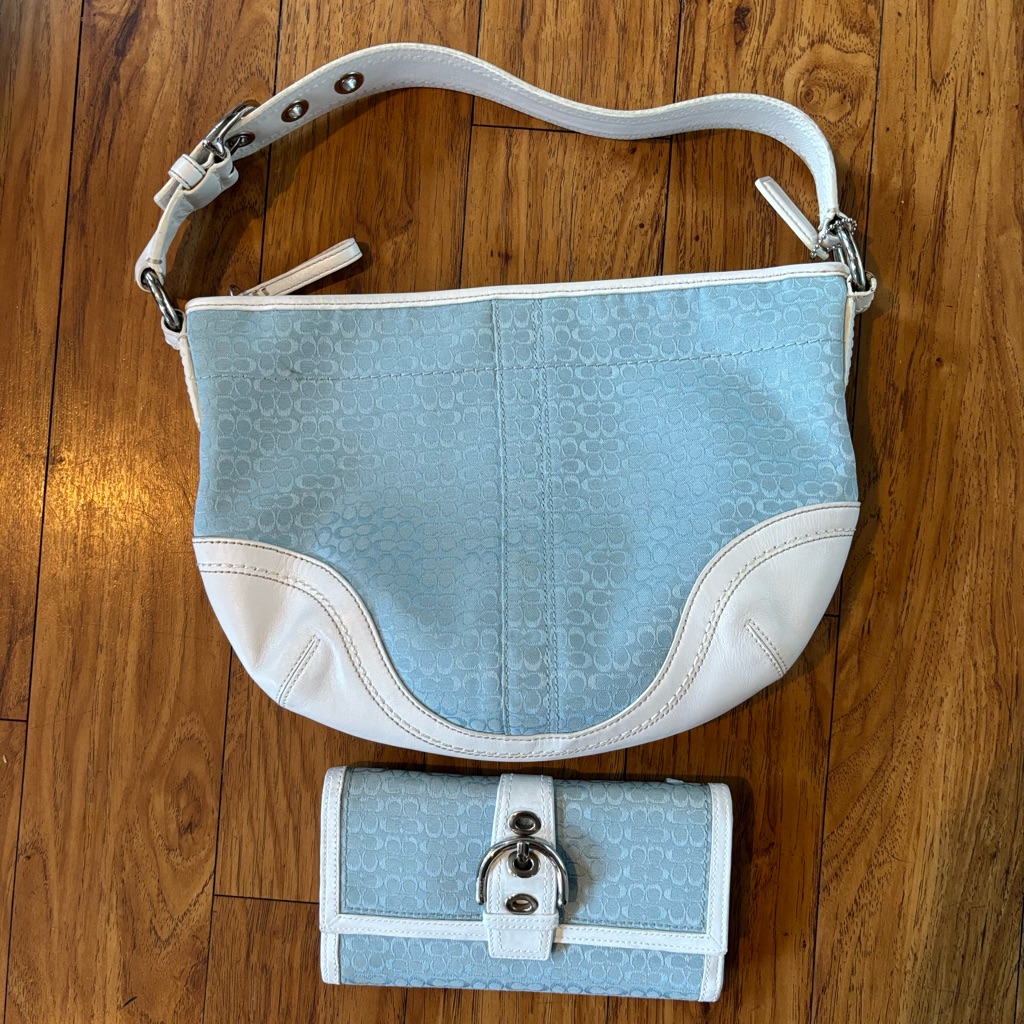 Baby Blue Coach Bag And Wallet
